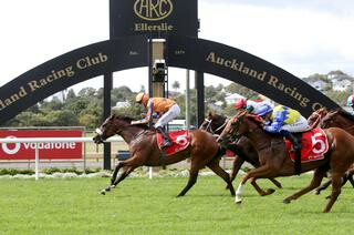 Ready to Run Sale graduate Star of Bombay (NZ) claims the Listed Mufhasa Stakes. Photo: Trish Dunell. 